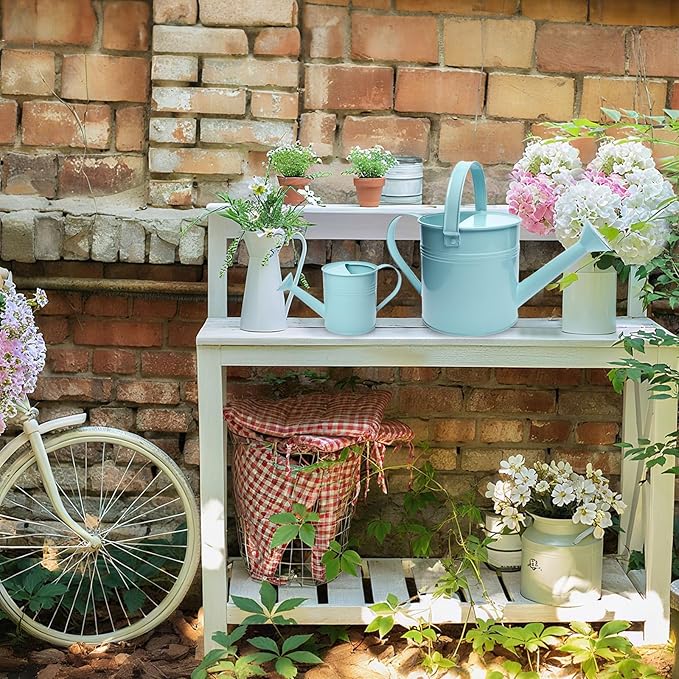 Small Metal Watering Can Set Pink 1.2L and 0.23L Garden Cans with Long Spout Indoor Outdoor Plant Care (Green Blue)