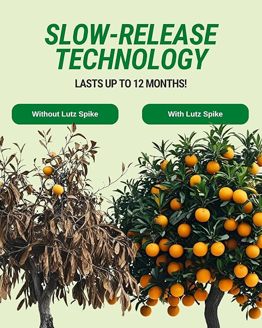 Ultra Citrus Tree Fertilizer Spikes Pack of 40 - Fertilizer Sticks &amp Plant Food Spikes for Oak Maple Birch &amp Pine Trees - Contains Nitrogen Phosphate Potash and Sulfur
