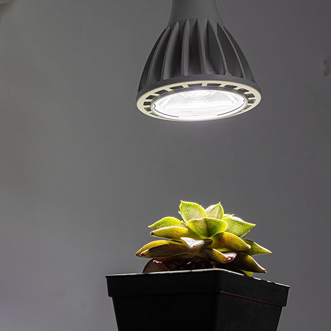 Hook Type Wall Mounted Plant Light Full Spectrum 25W 6000K White Light Timing Retro Metal Adjusted Angle Black Wall Lamps for Plants Flowers Indoor Growing