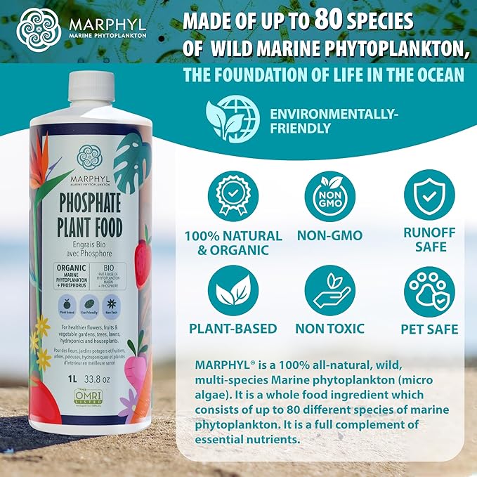 MARPHYL Organic Liquid Phosphate Soil Enhancer – Phosphorus Fertilizer for Root Development &amp Bloom Support Ideal for Garden Flowers Vegetables Succulents &amp Hydroponics
