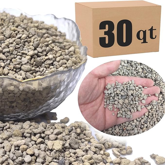 Horticultural Pumice for Plants Professional Sifted (30QT 1/4 inch)