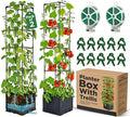 2 Pack Tomato Planter with Trellis 43 Inch Self Watering Planter Box with Trellis Vertical Raised Garden Bed Planter for Climbing Vegetables Indoor Outdoor Patio
