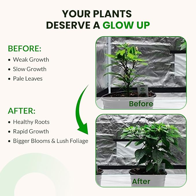 Humboldts Secret Starter Kit Pack | Indoor and Outdoor Plant Fertilizer and Hydroponic Nutrients | Base A &amp B CalMag and Iron Golden Tree Flower Stacker Plant Enzymes | Complete Garden System
