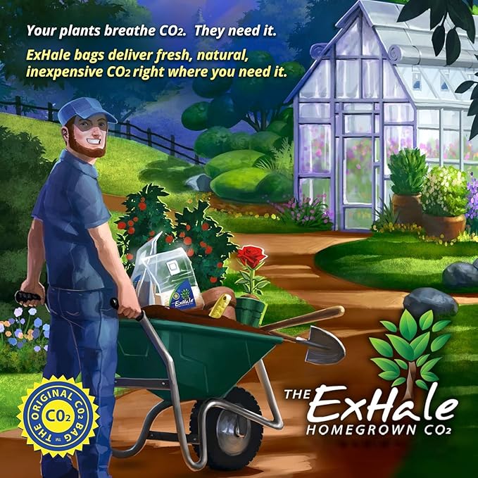 Exhale Homegrown CO2 XL 365 - Self-Activated CO2 Bags for Indoor Grow Rooms &amp Grow Tents - Foliage Mushroom Bags (2 Pack)