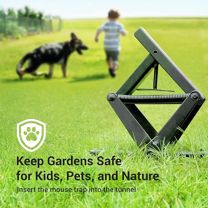 Mole Traps That Kill Best 2 Pack Scissor Mole Trap Sleek Black Stainless Steel Finish