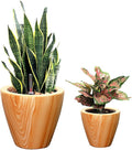 2 Pack 10 in. Light Wood Plastic Self Watering Planter Pot