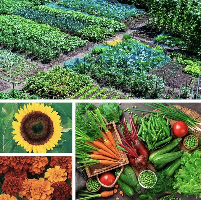 Park Seed Ultimate Garden Seed Collection – Non-GMO Heirloom Vegetable Herb &amp Flower Kit with 30 Premium Varieties for All Seasons – Raised Beds Plots &amp Containers Total of 4650 Seeds
