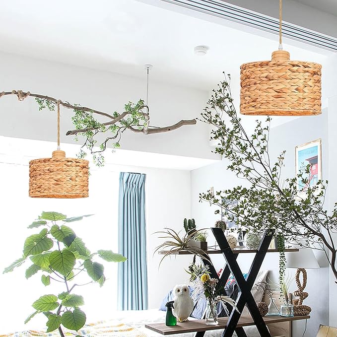 Full Spectrum Plug-in Lamp with Integrated Circulating Fan Timer Swag Hanging Boho Plant Growing Light by Remote Control Hemp Rope Cord Dimmable for Indoor Planting Portable 30W