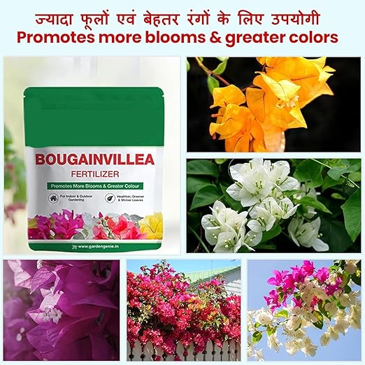Generic Bougainvillea Plant Fertilizer 830g | Organic Bloom Booster Fertilizer for Overall Growth of Bougainvillea Flowers in Home Garden Powder Pack of 1