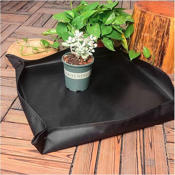 13 Pieces Succulent Plant Tools Mini Hand Garden Tools with Transplanting Tarp Hand Tools Set for Indoor Miniature Fairy Garden Plant Care (Color : Black Size : 75 * 75cm)