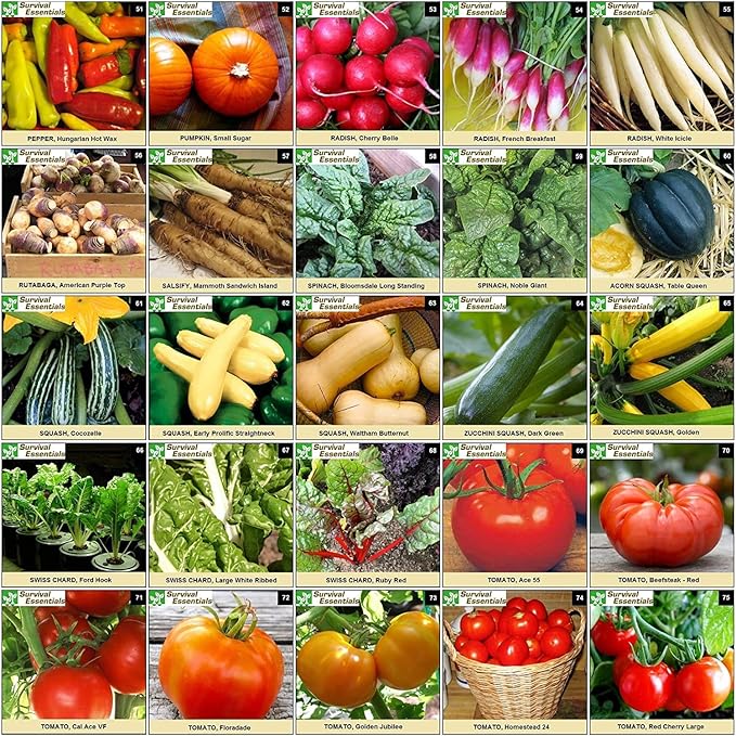 Garden Heirloom Seed Vault 100 Variety Over 17500 Vegetable Fruit and Herbs Seeds Non-GMO Non-Hybrid Plus Free Microgreens Kit