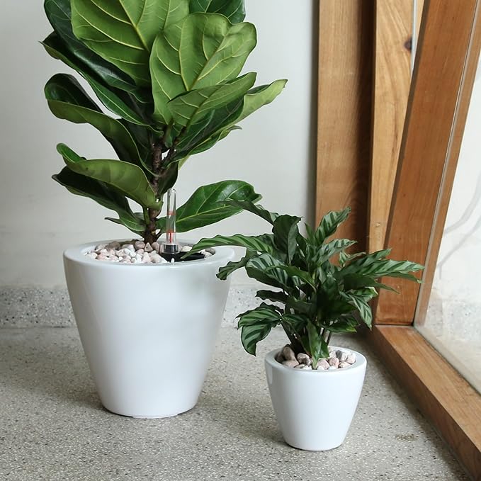 2 Pack Smart Self Watering Planter Pot for Indoor and Outdoor White Round Cone