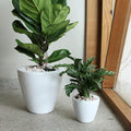2 Pack Smart Self Watering Planter Pot for Indoor and Outdoor White Round Cone