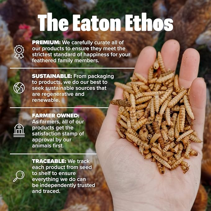 Eaton Pet and Pasture Premium Grubs USA Grown Dried Black Soldier Fly Larvae High Calcium Treat for Chickens Ducks Wild Birds (1 LB) (Pack of 2)