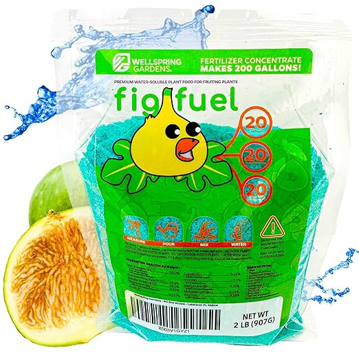Wellspring Gardens Fig Fuel Fertilizer - Water-Soluble 20-20-20 Blend - Nutrient-Rich Plant Food for Fig Trees Fruit &amp Plants - Formulated for Healthy Leaves &amp Growth - 2 Pounds