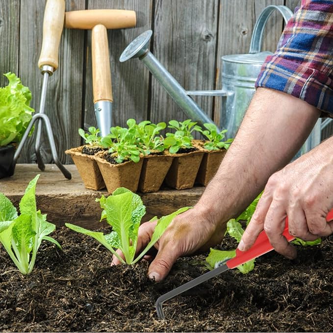 Toyvian Garden Shears and Bonsai Tools Set 5pcs for Gardening and Plant Care with Soil Loosening Rake Planting Scissors and Hand Tools Kit for Vegetable and Patio Garden Use