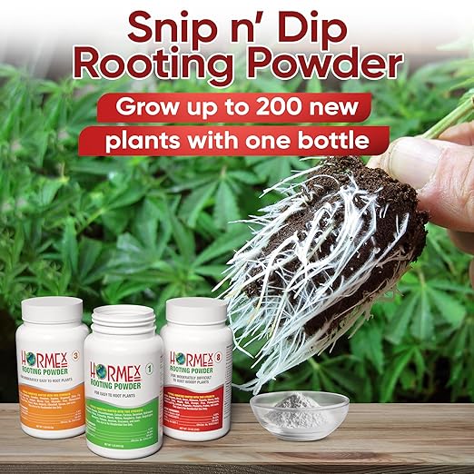 Hormex Rooting Powder Combo #1 3 8 (0.10-0.8 IBA) for Delicate and Common Houseplants to Semi-Hardwood - Root Powder Root Stimulator for Plants Rooting Hormone for Cuttings Cloning &amp Propagat