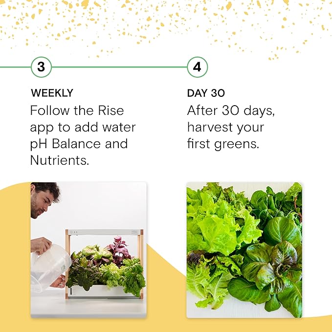 Rise Gardens Personal Rise Garden Hydroponic Indoor Garden Kit with LED Grow Light Countertop Size