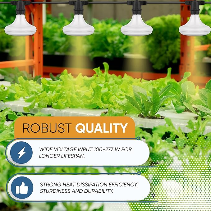 OmniHW 24 ft Full Spectrum LED Grow String Light- 12 Bulbs with 2ft Spacing for Plants Veg Flowers &amp Seedling in Greenhouse Indoor &amp Outdoor- 120 Hi- Efficacy Large Lightning Area&amp Waterpr
