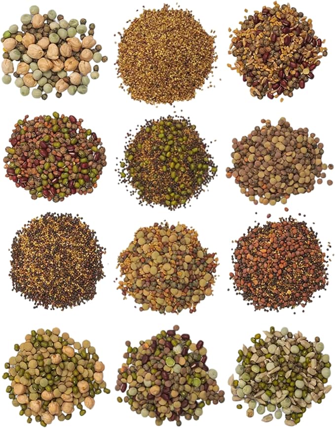 The Sprout House Assorted Mix Sprouting Seeds - Grow Fresh Sprouts &amp Bean Sprouts at Home Organic Non-GMO Nutrient-Packed for Salads Sandwich &amp Smoothies Premium 12 Pack | 2 oz Each