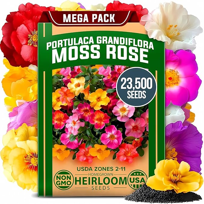HOME GROWN Pollinator &amp Pumpkin Garden Mix – 40 Pumpkin &amp 20000 Monarch Butterfly Wildflower Seeds &amp 23500 Moss Rose Seeds – Non-GMO USA Heirloom for Outdoor Planting