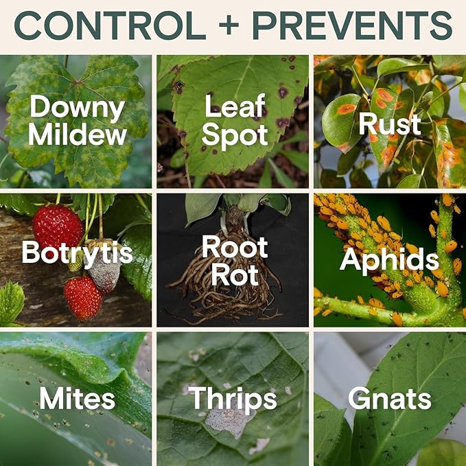 Organic Insecticide &amp Fungicide for Plants — Indoor/Outdoor Protection to Control Powdery Mildew Spider Mites Aphids Whiteflies Fungus Gnats — Safe on Vegetables &amp Lawns — Concentrate Spra
