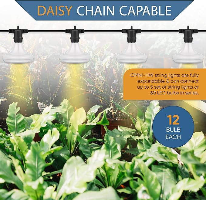 OmniHW 24 ft Full Spectrum LED Grow String Light- 12 Bulbs with 2ft Spacing for Plants Veg Flowers &amp Seedling in Greenhouse Indoor &amp Outdoor- 120 Hi- Efficacy Large Lightning Area&amp Waterpr