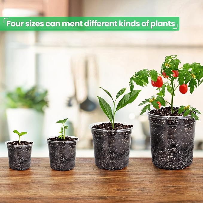 36 Packs 7/5/4/3.5 Inch Reinforced Clear Nursery Pots with Drainage Hole Transparent Variety Pack Plastic Plant Pot Seedling Planter for Vegetable Propagation Root Cutting Seed Starting