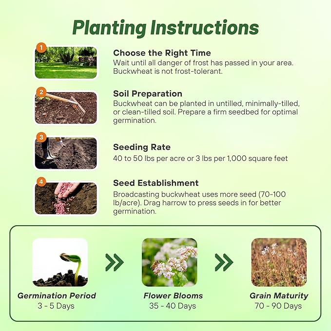 Outsidepride Buckwheat Seeds - 5lbs Annual Fast-Growing Easy to Grow Buckwheat Cover Crop Seeds for Green Manure Bee Pasture &amp Pollinators Wildlife Habitat Soil Improvement and Erosion Contr