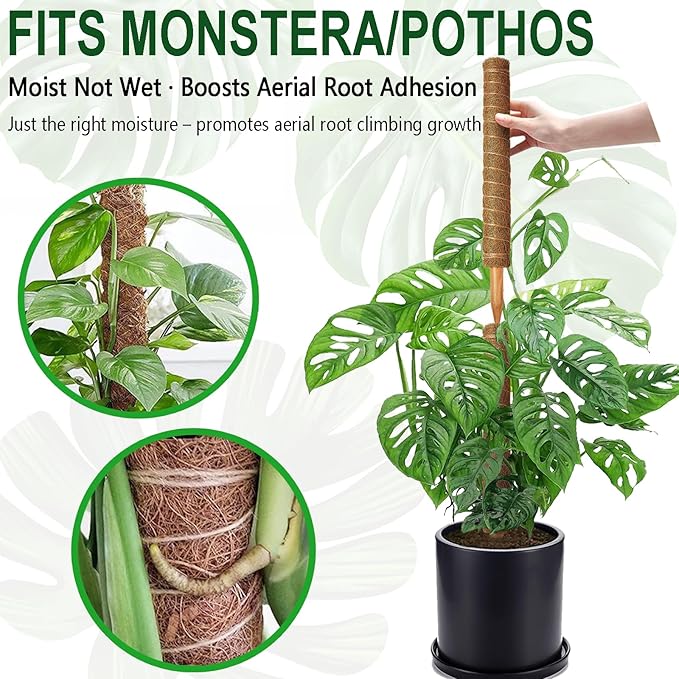 Soupiar 4 Pack 22 Inch Stackable Moss Pole - Thick &amp Sturdy Natural Coir Totem Plant Support &amp Garden Stakes for Monstera &amp Pothos Indoor Climbing Vining Houseplants 70”H Max