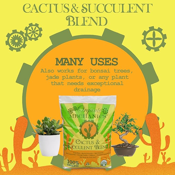 Organic Mechanics Cactus and Succulent Blend Potting Soil 8 qt – Well-Drained Organic Mix – Enhances Plant and Root Growth with Biochar Rice Hulls and Worm Castings