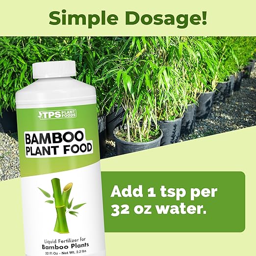 Bamboo Plant Food – Liquid Plant Food for New Shoot Growth Rich Green Leaves &amp Strong Root Development 32 oz