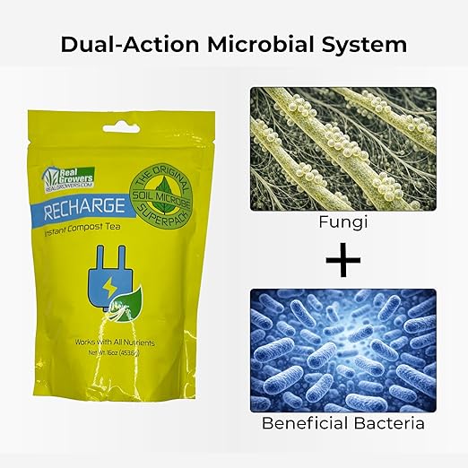 Real Growers Recharge 16oz – Mycorrhizae &amp Soil Microbes Instant Compost Tea for Root Growth Transplant Support &amp Nutrient Uptake