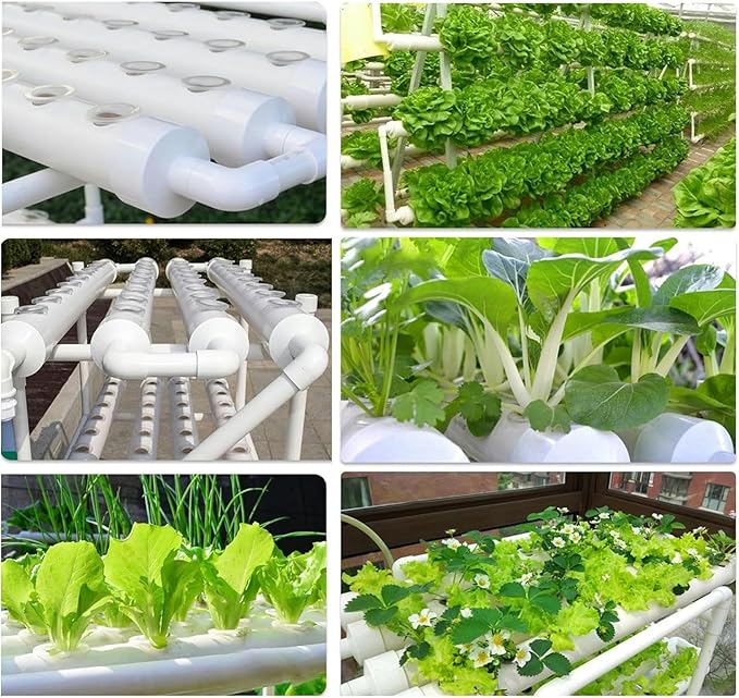 Hydroponics Growing SystemHydroponics Growing System Lettuce 4 Layer for Planting Green Leaf Vegetables with Pump System