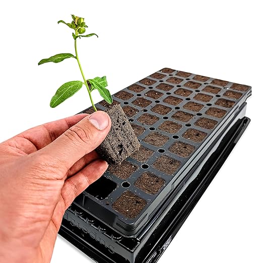 VPS OrganiPlug Hydroponic Seed Starter Plugs 50 pcs in 1 Prefilled Tray Rapid Root Planting Pods for Seedling Clone Cutting Promotes Plant Flower Vegetable Growth w/Organic Soil Ingredients