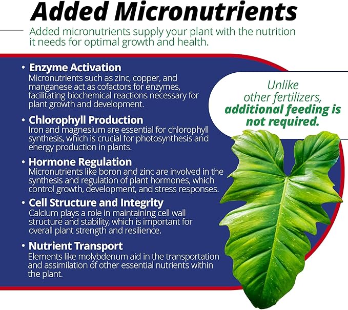 Jack's Classic 15-30-15 Houseplant Special Water-Soluble Fertilizer with Micronutrients to Green-Up and Increase Blooms in Houseplants 8oz 2 Pack