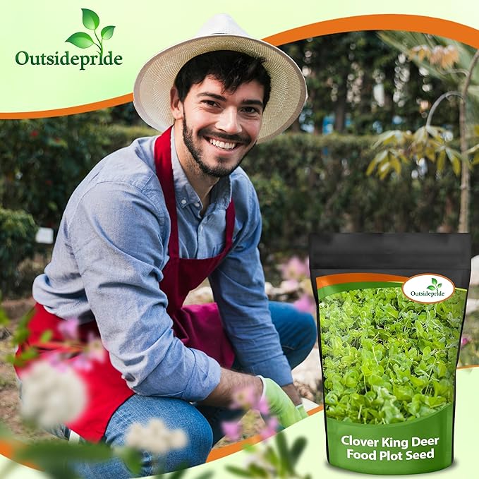 Outsidepride Perennial Clover King Seed Mix - 10 lbs Nitrocoated Inoculated Heat &amp Cold Tolerant Alfalfa-Enhanced Food Plot Seeds for Deer &amp Wildlife Ideal for Spring Summer &amp Winter