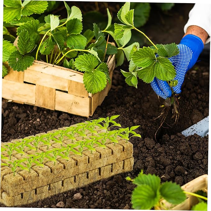 100pcs Hydroponic Plant Cubes Seed Substrate Cubes for Cloning Planting for Soilless Cultivation