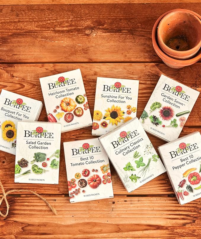 Burpee Salad Garden Collection 10 Packets of Non-GMO 4 Lettuce Varieties Tomato Radish Spinach Kale Scallions &amp Mesclun Mix | Seeds for Planting Vegetables