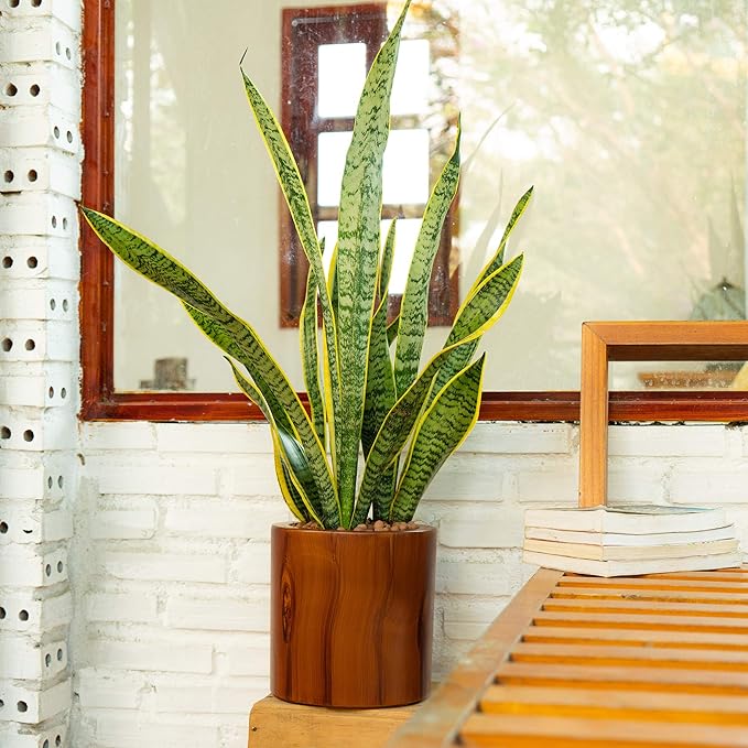 7.8 in. Dark Wood Plastic Self Watering Planter Pot