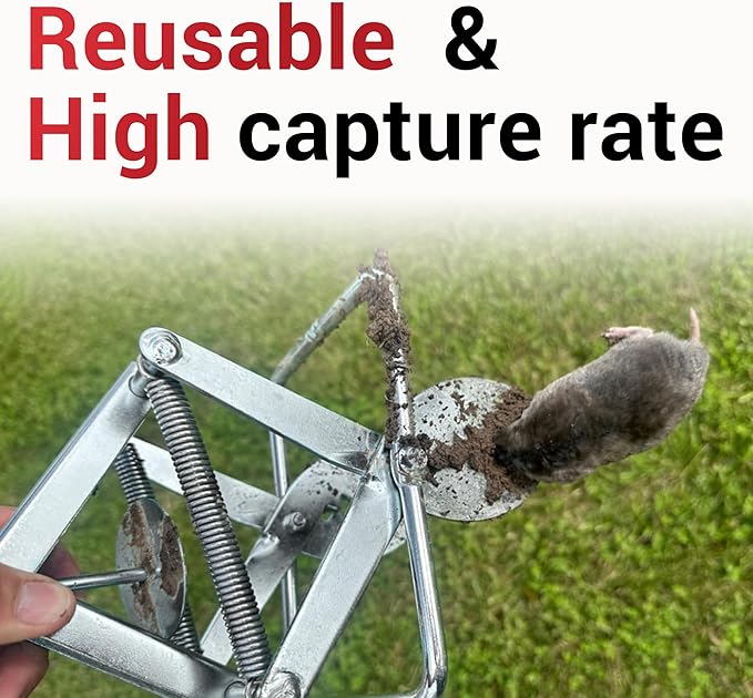 Mole Trap Scissor 2 Pack Upgraded Mole Traps for Lawns That Kill Best Galvanized Steel Mole Killer Easy Step Setup