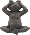 Generic Resin 16 H NO See Frog Metallic Blue