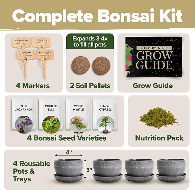 2000+ Vegetable Seeds for Planting - HOME GROWN Bonsai Tree Kit – Easy to Grow 4 Species of Bonsai