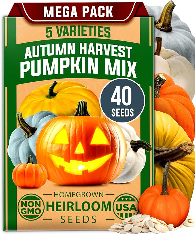 HOME GROWN Pollinator &amp Pumpkin Garden Mix – 40 Pumpkin &amp 20000 Monarch Butterfly Wildflower Seeds &amp 23500 Moss Rose Seeds – Non-GMO USA Heirloom for Outdoor Planting