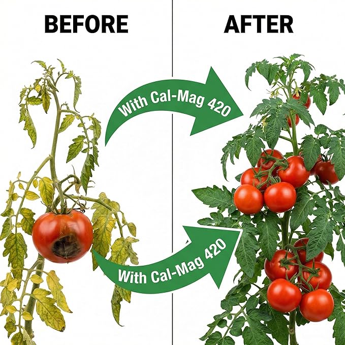GS Plant Foods Cal-Mag 420 Dry Super Concentrate Makes 420 Gallons of Nutrient Solution 18 Ounces Calcium/Magnesium Fertilizer