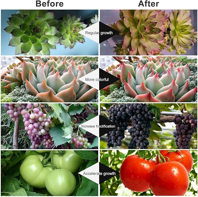Grow Light for Indoor Plants 3 Heads Growing Lamps 3/9/12H Auto Timer Full Spectrum Planting Lights for Greenhouse Plants Flowers Veg Succulents Potted Growth Adjustable Gooseneck 3 Switch Modes