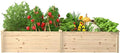 BlueWish Outdoor Wooden Garden Bed Raised Garden Bed with Bottomless Divisible Planter Boxes for Gardening Vegetable Flower 95''L x 49''H x 11''W