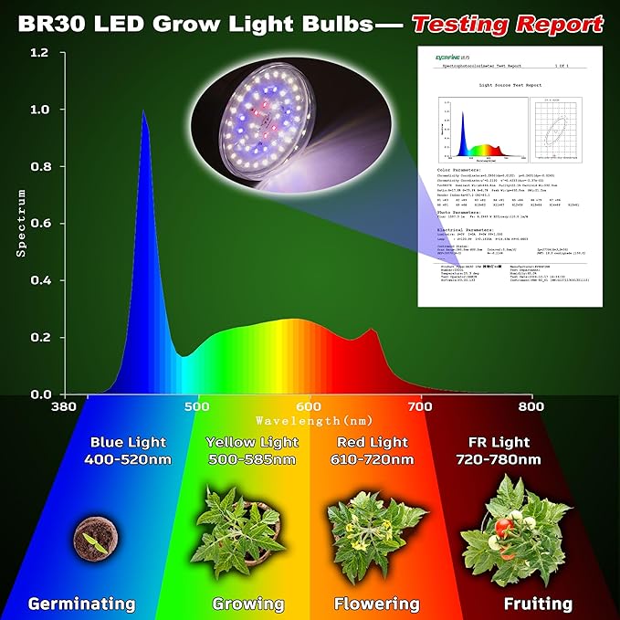 Full Spectrum BR30 Led Plant Grow Light Bulbs 15W 2000lmE26 BR30 Floodlight Sun Plant Growing Lamp200 Watt EquivalentBalanced Spectrum 5000K Red Blue for Seeds GreensIndore Garden Hydroponic2pcs
