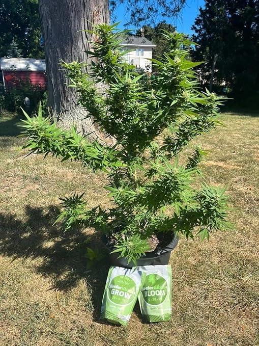 Reefertilizer® Grow and Bloom Bundle - Water Soluble Fertilizer &amp Micronutrients for Veg and Flower