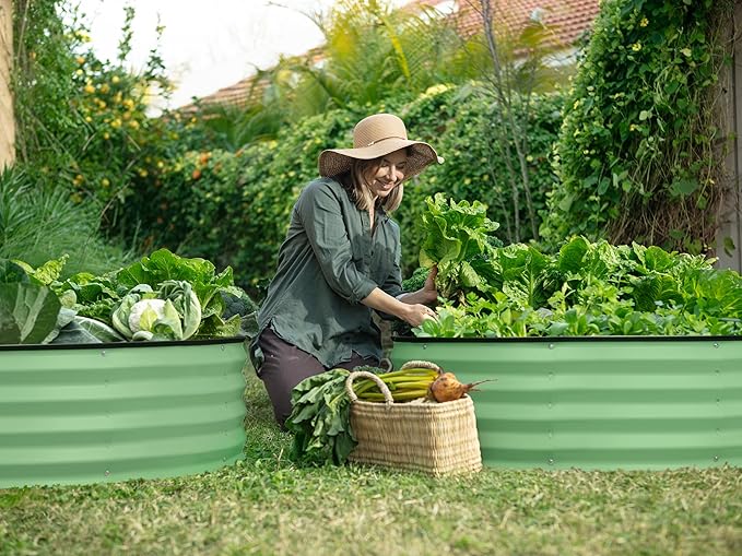 Plant &amp Plot Galvanized Raised Garden Beds Outdoor // 4×2×1 ft &amp 4×4×1 ft Planter Raised Beds for Gardening Vegetables Flowers // Large Metal Garden Box (Light Green)